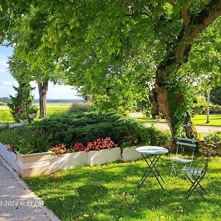 La Metairie Au Milieu Des Vignes Διαμέρισμα Réaux Εξωτερικό φωτογραφία