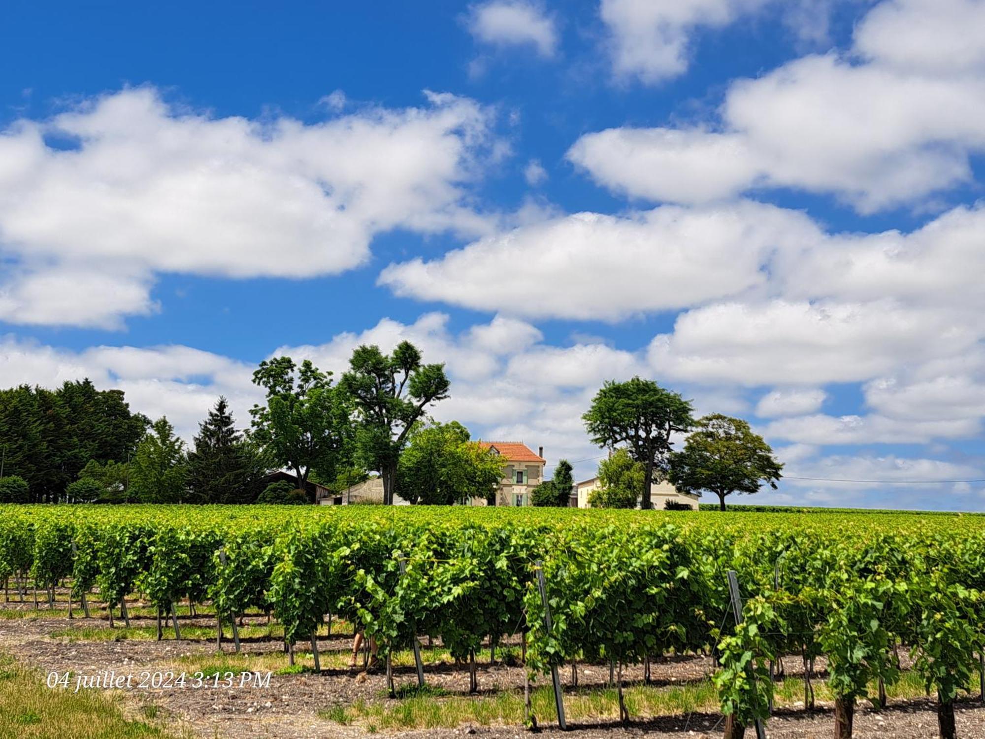 La Metairie Au Milieu Des Vignes Διαμέρισμα Réaux Εξωτερικό φωτογραφία