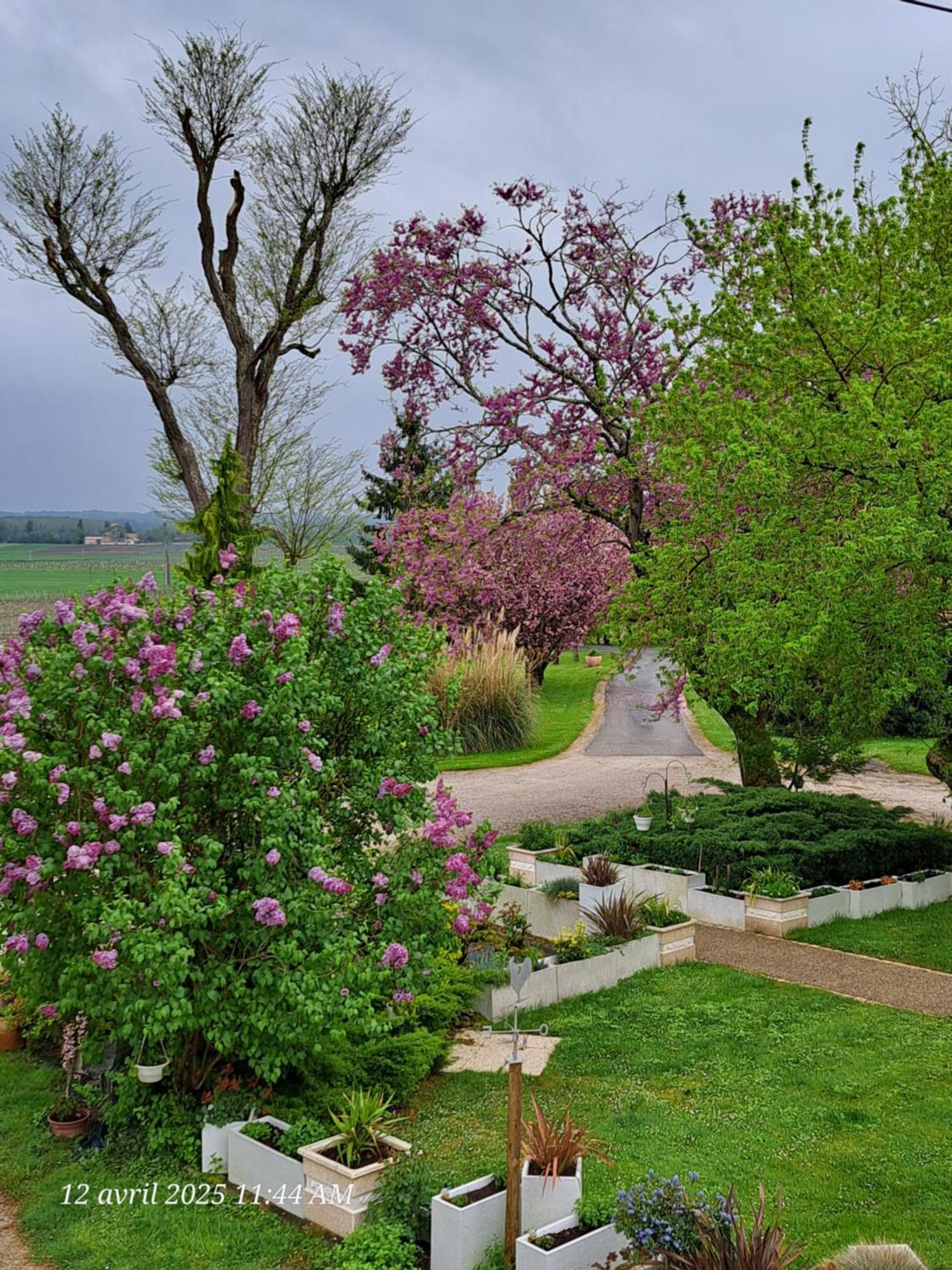 La Metairie Au Milieu Des Vignes Διαμέρισμα Réaux Εξωτερικό φωτογραφία