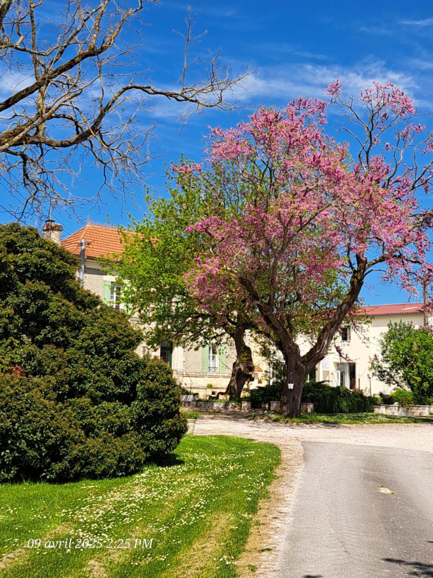 La Metairie Au Milieu Des Vignes Διαμέρισμα Réaux Εξωτερικό φωτογραφία